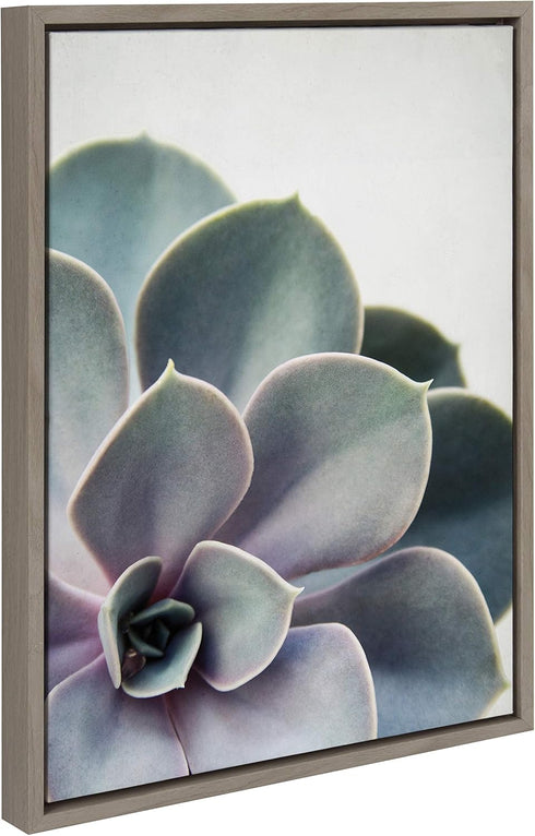 Kate and Laurel Sylvie Succulent 5 Framed Canvas by F2 Images, 18x24 Gray...