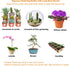 500ML Watering Bottle with 6 feet Self Watering Wick for Succulent Indoor Plants Cactus Squeeze Wash Can Long Nozzle Bend Mouth Waterer Bonsai Ter...