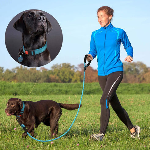 Heavy Duty Dog Leash - Comfortable Padded Handle, 5 ft Long - Dog Leashes for Small Medium Large Dogs (Leash+Collar M Neck 16"-20", Blue)...