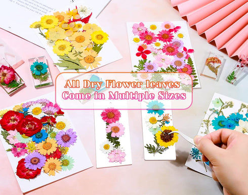 Real Dried Pressed Flowers for Resin, Natural Dry Flowers Leaves Bulk Herbs Kit for DIY Scrapbooking Stamping Supplies Epoxy Resin Jewelry Molds C...