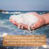 Cornish Sea Salt Really Garlicky Seasoning | Sea Salt Flakes w. Roasted Garlic | Hand-Harvested in Cornwall, England | 1.9 oz Resealable Tub (Pack...
