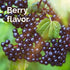 Emergen-C Elderberry Fizzy Drink Mix, Elderberry Immune Support, Natural Flavors, With High Potency Vitamin C, 18 Count...