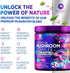 Mushroom Supplement Powder - 11 in 1 Complex Nootropic & Adaptogens Blend, Organic Mushroom Powder, Lions Mane, Cordyceps, Reishi, Chaga, Turkey T...