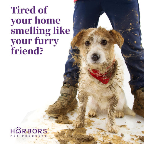 Harbor's Pet Cologne (Baby Powder 4oz)...