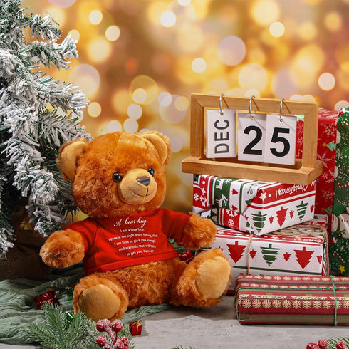 2 Pcs Little Bear Plush Stuffed Animal Sympathy Gifts Memory Bear with a Bear Hug Sign Funeral Gift for Kids Bereavement Comfort Child Loss of Lov...