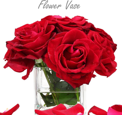 CYS EXCEL Glass Cube Vase 4"x4"x4" | Square Wedding Flower Vase Centerpieces | Cubic Glass Candle Holder...