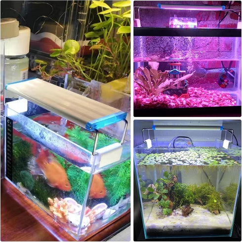LED Aquarium Light Full Spectrum Fish Tank Lights 7" 8" 10" 12" 8W Multi-Color Freshwater Saltwater Plant Lamp White Blue Red LEDs...