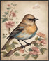 Posterizer 1 pcs- Beautiful yellow and blue bird with wild pink flowers-Art for Animal Lovers-Floral Botanical Art- Gift for Men Women Teens-Decor...