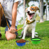 2-Pack Small Dog Travel Bowl, Collapsible Bowls for Dogs, Foldable Cat Water Bowl, Portable Pet Traveling Dish (Green & Blue)...