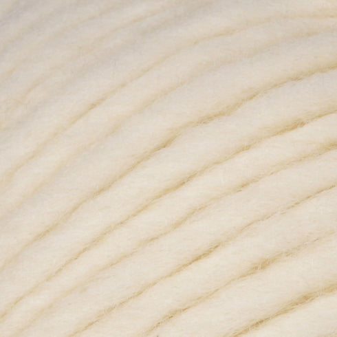 Patons Classic Wool Roving Yarn, 3.5 oz, Aran, 1 Ball......