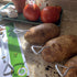 Fox Run Potato Baking Rods, Aluminum, Set of 6, Metallic...