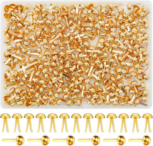EuTengHao 300Pcs Brass Fasteners Scrapbooking Brads Round Head Brass Plated Fasteners for Craft Art Crafting School Project Decorative Scrapbookin...