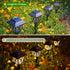 KAQ 2 Pack LED Solar Lights Outdoor Waterproof, Solar Garden Lights Auto On/Off, Outside Lights for Yard, Patio Decor, Landscape Lighting, Pathway...