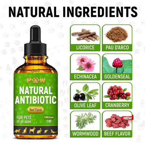 Antibiotic for Cats | Natural Antibiotics for Dogs | Cat Antibiotics | Dog Antibiotic | Antibiotic for Dogs | Natural Antibiotics for Cats | Natur...