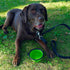 2-Pack Collapsible Dog Bowls - Portable Pet Feeding Bowl - Portable Travel Feeding Bowl for Cats Dogs - Foldable Space Saving Feeding Food Bowls f...