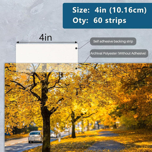 Lineco 4 Inches See-Through Archival Polyester Mounting Strips. Acid-Free, Framing Photos, Hinge-Less, Sturdy, Safe, Conservation, Easy, Artwork, ...