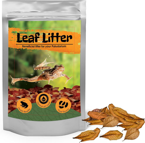 JOR 120 Pack Dwarf Frog Leaf Litter, Mini Indian Almond Leaves as Microfauna Habitat Tank Food Source, Substrate in Bioactive Terrarium & Vivarium...