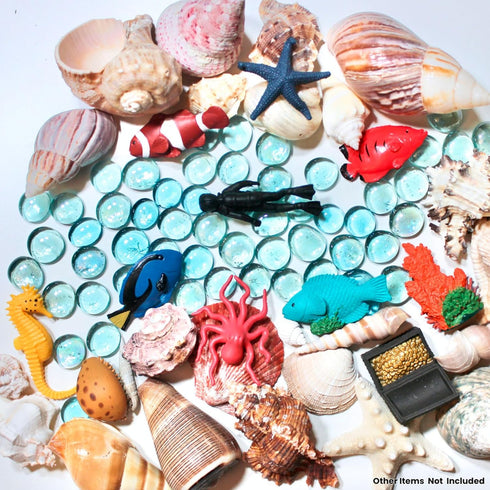 Safari Ltd. | Coral Reef - 11 Pieces | TOOBs Collection | Miniature Toy Figurines for Boys & Girls...