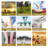 Ankle Compression Socks, Effective Foot Compression Sleeve for Foot Pain Relief, Swelling, Plantar Fasciitis, Sprain, Neuropathy - Foot Support fo...