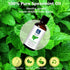 Spearmint Essential Oil, 100% Pure Undiluted Spearmint Oil for Aromatherapy - 30ml/1 oz...