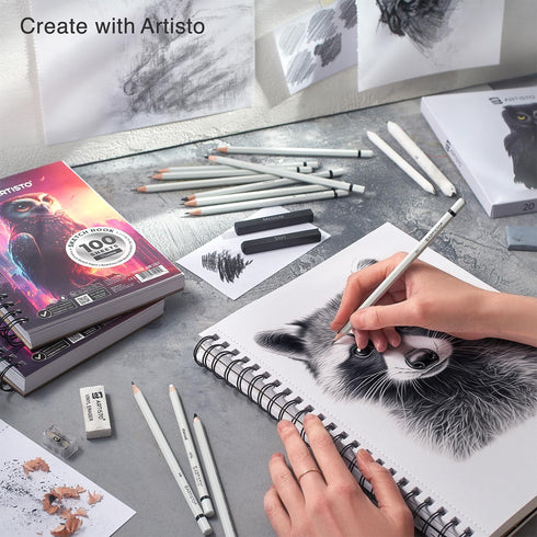 Artisto Drawing and Sketching Pencil Art Set (20 Items) - Complete Kit with Graphite Pencils, Charcoal Pencils, Sticks, Blending Stumps, Erasers, ...