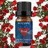 BURIBURI Rose Essential Oil for Diffuser, Massage, Soap, Candle, Perfume Making - 100% Pure, Undiluted, Natural, Organic Aromatherapy - 10ml - Rom...
