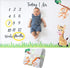 Baby Monthly Milestone Blanket | for Newborn Boy or Girl, Unisex | Month Blanket Baby for Pictures | Jungle Safari, Giraffe & Monkey Theme | Perso...