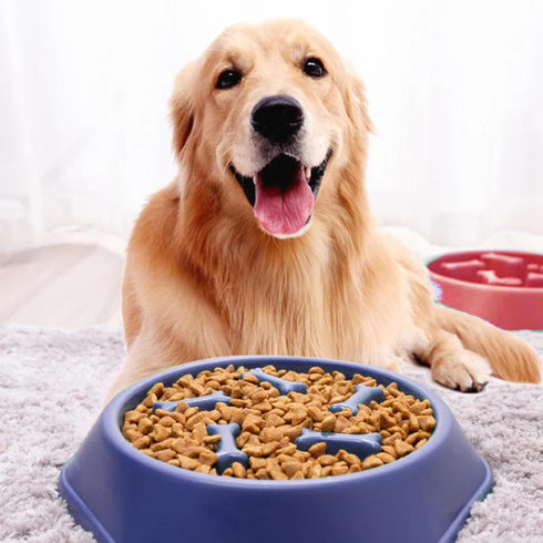 Slow Feeder Dog Bowls Free from BPA Ideal for Cats and Dogs-Dog Slow Feeder Bowl Promotes Healthy Eating Habits-Perfect for Puppy Training. (Red)...