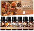 Autumn Spice Essential Oils Set, Fragrance Oil Gift Set for Oil Diffusers, Scented Oils for Soap Candle Making 6x10ml - Cinnamon, Nutmeg, Vanilla,...