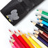 Chunky Kids Colored Pencils 15 Piece - Jumbo Chubby Easy Holding - Easy to Hold Draw Kids with Pencil Pouch, Mini Eraser, Pencil Sharpener Full 18...