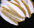 BABEYOND 42 Pcs 1920s Gatsby Gold Dipped Feather Natural Décor Glitter Feather for 20s Party Decoration Wedding Decoration (White & Gold)...