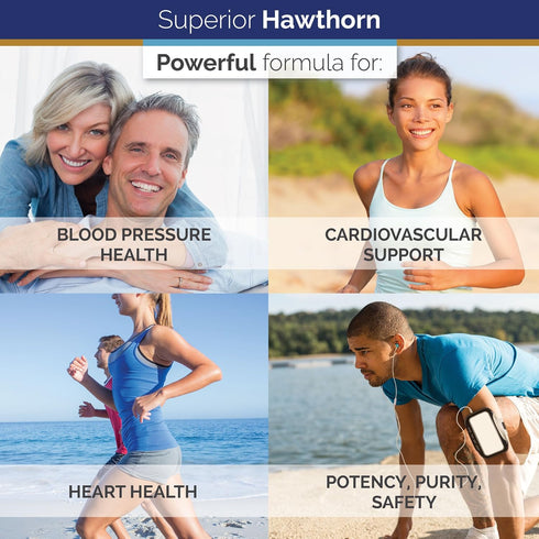 Superior Labs — Best Hawthorn Vitamin Supplement NonGMO, Non Synthetic — 300 mg Dosage, 120 Vegetable Capsules — Powerful Antioxidant — Healthy Di...