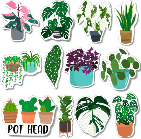 Plant Magnets for Fridge & Kitchen - Nature & Decor Potted Plants | Refrigerator Magnet Accessories & Gifts for Plant Lovers - Monstera & Cactus A...