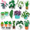 Plant Magnets for Fridge & Kitchen - Nature & Decor Potted Plants | Refrigerator Magnet Accessories & Gifts for Plant Lovers - Monstera & Cactus A...