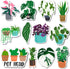 Plant Magnets for Fridge & Kitchen - Nature & Decor Potted Plants | Refrigerator Magnet Accessories & Gifts for Plant Lovers - Monstera & Cactus A...