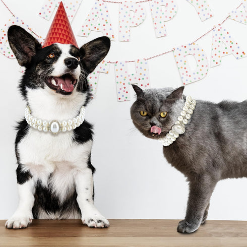 KUDES Small Dog Cat Big Pearl Collars with Crystal Rhinestone Diamond Décor, Adjustable Cute Fashion Pet PU Leather Collars Necklace for Wedding B...