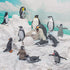 Polar Penguin Figure Cards Playsets 15PCS Penguin Model Toy Desktop Decoration Collection Party Favors Toys for Boys Girls Kids...