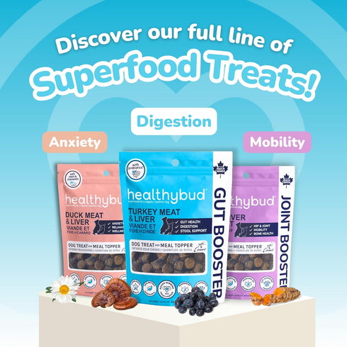 healthybud Mini Dog Training Treats - Beef Liver Soft Trainer Bites, 500+ Bits, 1 kCal per Bite, 6.5oz, Reishi, Lion’s Mane, Salmon Oil, Puppy Che...