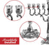 Ner Mitzvah Silver Plated Candle Menorah, Fits All Standard Hanukkah Candles - Curved Branches, 7.25 High x 6.5 Wide...
