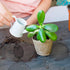 200 Pieces Round Mesh for Plant Pot Gardening Pad Plant Pot Hole Mesh Pad Bonsai Mesh Flower Pot Drainage Mesh Drainage Hole Screens Bonsai Pot Bo...