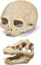 Desert Reptile Decor Skull Fish Tank Decorations Bearded Dragon Accessories Desert Reptile Decor Bearded Dragon Decor, Snake Tank Decor (human + D...