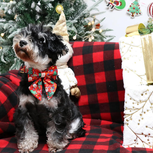 Christmas Dog Collar with Bow Tie, Christmas Collar for Puppy Girl Boy Dog or Cat, Bowtie Dog Collar with Durable Metal Buckle, Cute Pet Collar,XL...