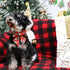 Christmas Dog Collar with Bow Tie, Christmas Collar for Puppy Girl Boy Dog or Cat, Bowtie Dog Collar with Durable Metal Buckle, Cute Pet Collar,XL...