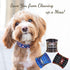 Premium Male Dog Wraps - High Absorbency Male Dog Diapers (Pack of 3) - Washable Belly Band for Male Dogs Incontinence and Puppy Training (Plaid, ...