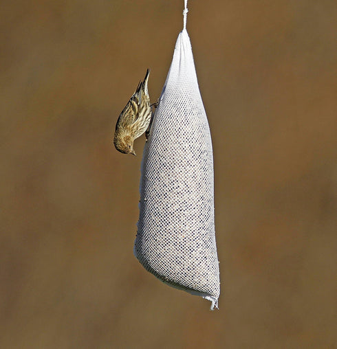 Stokes Select Large Finch Sock Bird Feeder with Drawstring, White (Set of Four Large)...
