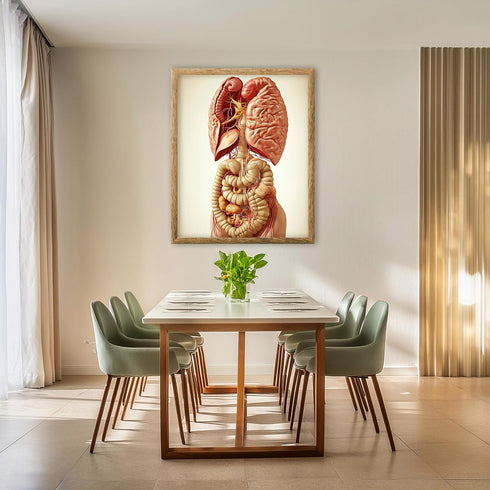 Posterizer 1 pcs-anatomical illustration of the human digestive system 1-Teachers & Classrooms-Abstract & Modern Art-School and classroom art- unf...