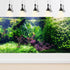 Aquarium Background Underwater Ocean Fish Coral Reef Roots Terrarium Background Tropical Scenery Aquatic Plants Jungle Style Aquarium Backdrop Fis...