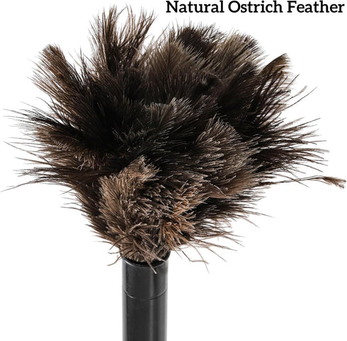 2 Pack Ostrich Feather Duster, 10 Inch Fluffy Natural Feather Duster, Soft-Feather Mopping with Plastic Handle, Extensible Ostrich Feather Cleanin...