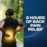 Advil Dual Action Back Pain Caplets Delivers 250mg Ibuprofen and 500mg Acetaminophen Per Dose for 8 Hours of Back Pain Relief - 144 Count...