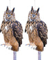 Owls to Keep Birds Away, 2Pcs Fake Owls with Reflective Tape for Garden Patio, Cardboard Hanging Owl Bird Scare Reflective Hanging Decoration to K...